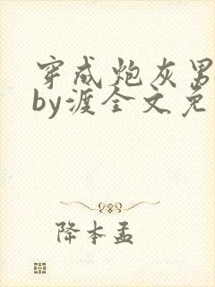 穿成炮灰男妻后by渡全文免费