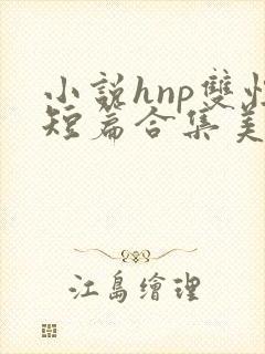 小说hnp双性短篇合集美人