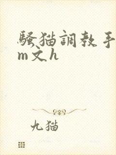 骚猫调教手册sm文h