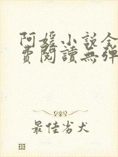 阿媛小说全文免费阅读无弹窗笔趣阁