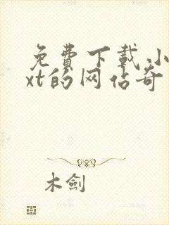 免费下载小说txt的网站奇书网