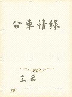 公车情缘