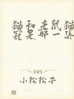 猫和老鼠猫狗争宠是哪一集封面