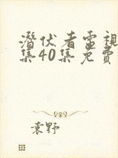 潜伏者电视剧全集40集免费观看谍战