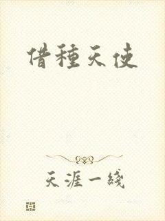 借种天使封面