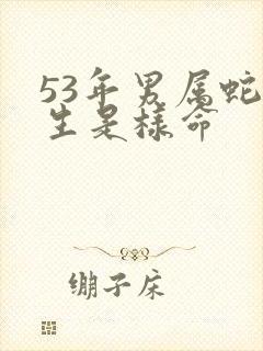 53年男属蛇一生是样命封面