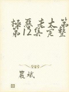 极恶老大第二季第12集完整版封面