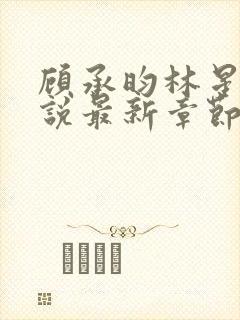 顾承昀林星禾小说最新章节免费阅读