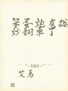 笨蛋炮灰总被爆炒翻车了封面