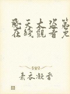 飞天大盗第一季在线观看免费观看全集