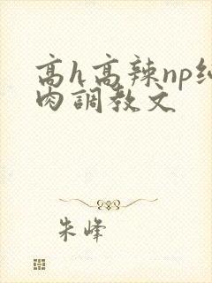 高h高辣np纯肉调教文封面