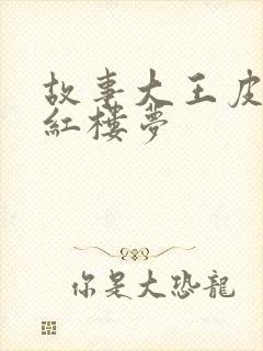 故事大王皮皮讲红楼梦