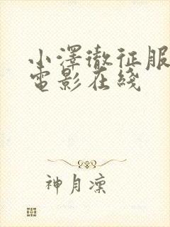 小泽彻征服人妻电影在线封面