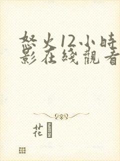 怒火12小时电影在线观看高清