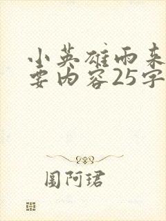 小英雄雨来的主要内容25字封面