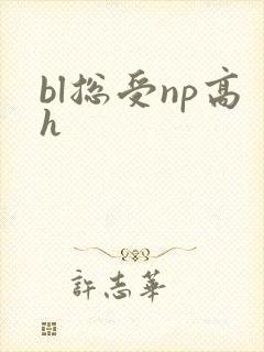 bl总受np高h
