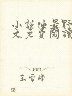 小说他最野了全文免费阅读封面