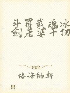 斗罗武魂冰火双剑老婆千仞雪封面