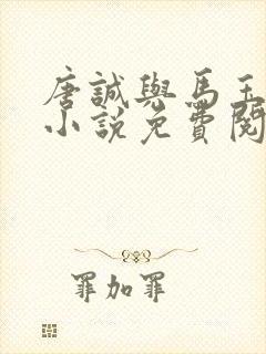 唐诚与马玉婷的小说免费阅读