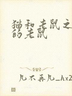 猫和老鼠之消失的老鼠封面