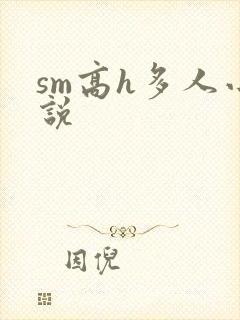 sm高h多人小说