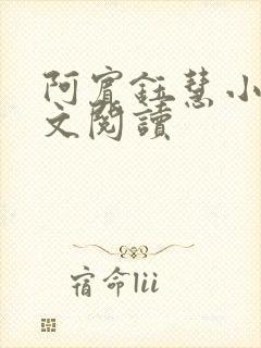 阿宾钰慧小说全文阅读封面