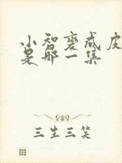 小智变成皮卡丘是哪一集