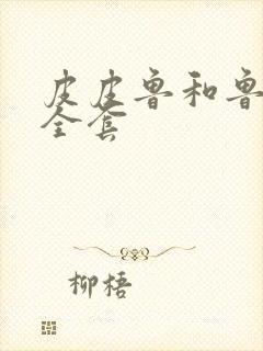 皮皮鲁和鲁西西全套