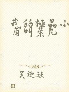 我的极品小姨主角叫叶凡封面