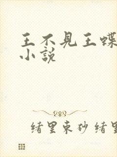 王不见王蝶之灵小说