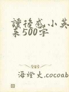 读后感小英雄雨来500字
