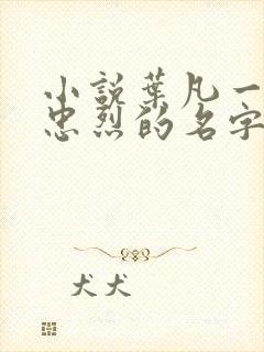 小说叶凡一门十忠烈的名字