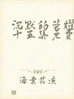 沉默的荣耀第二十五集免费观看封面