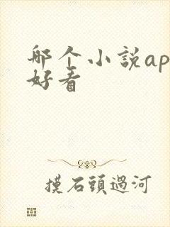 哪个小说app好看