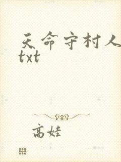 天命守村人小说txt封面