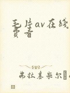 毛片av在线免费看