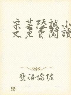 宋芸陆诚小说全文免费阅读封面