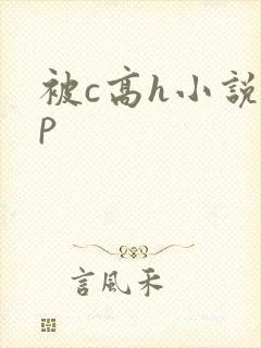 被c高h小说np封面