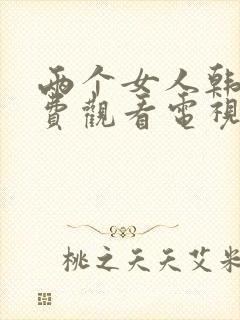 两个女人韩剧免费观看电视剧剧情