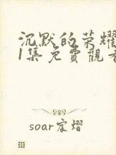 沉默的荣耀第11集免费观看