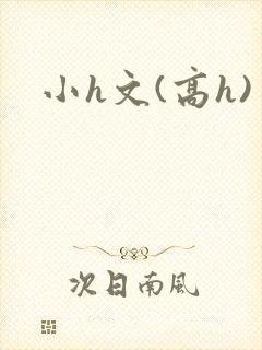 小h文(高h)