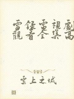 雪录电视剧免费观看全集高清封面