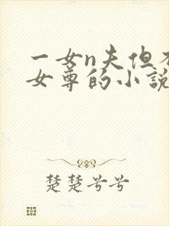一女n夫但不是女尊的小说封面