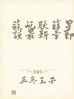 苏屹耿薛星眠小说最新章节更新内容