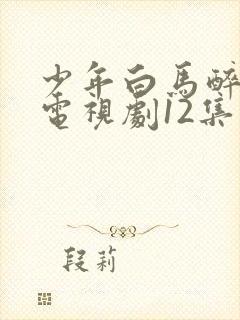 少年白马醉春风电视剧12集免费播放在线