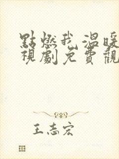 点燃我温暖你电视剧免费观看36集