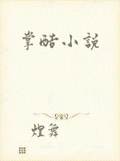掌酷小说