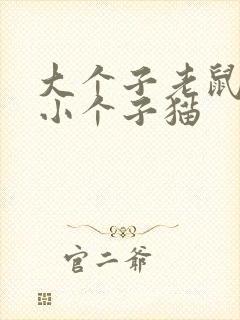 大个子老鼠 和小个子猫封面