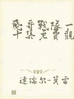 飞哥战队一至五十集免费观看