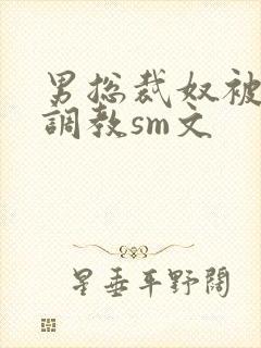 男总裁奴被绳绑调教sm文封面